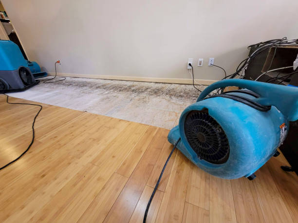 Professional Structural Drying technician working in Worley, ID